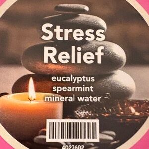 Stress Relief Scented wax  - Eucalyptus Spearmint